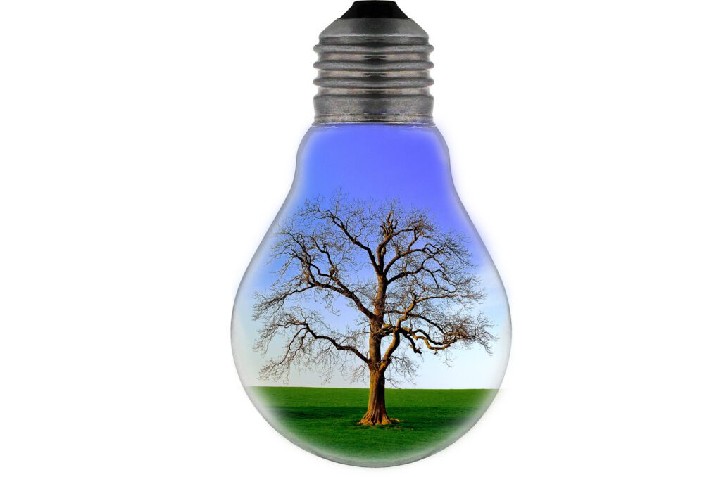 tree lightbulb blog post writer's block for authors